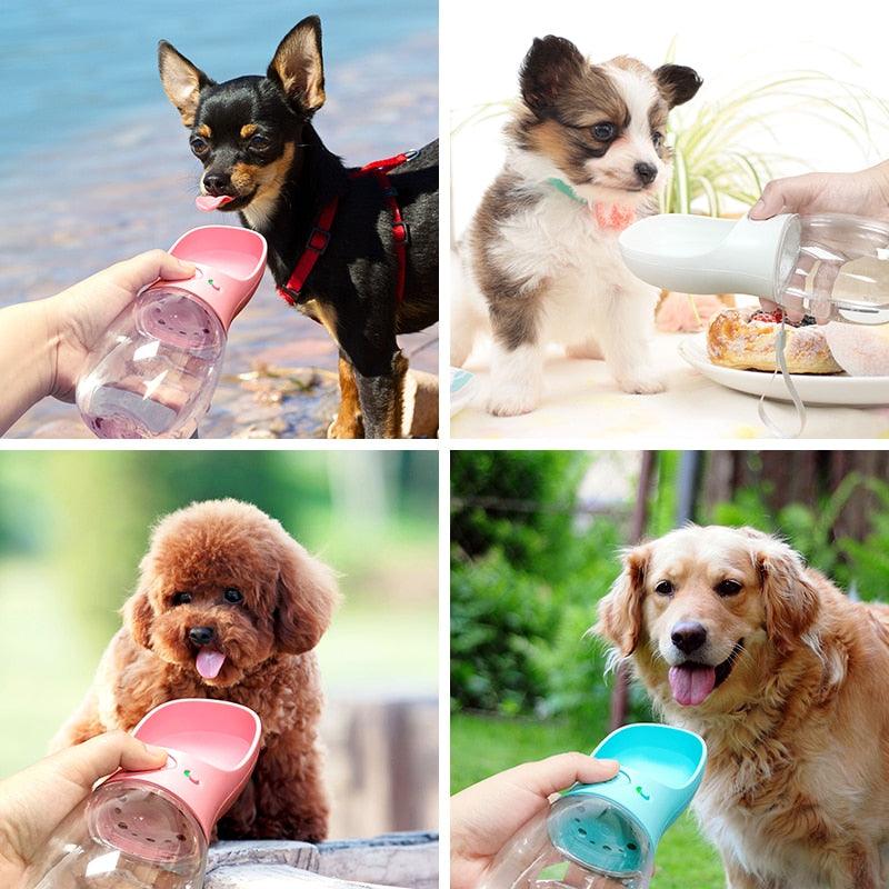 Hidra Pets - Garrafa D'Água Portátil Para Cães + Brinde Exclusivo